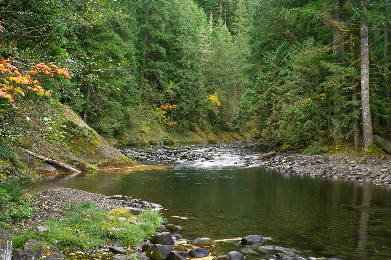 A serene river scene appears near the beginning of the Salmon River Trail. Photo by USFS.
