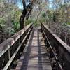 Multiple sturdy bridges help visitors travel over a tributary along the trail.