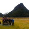 Our group poses outside Flats Hut with Conical Hill serving as the backdrop.