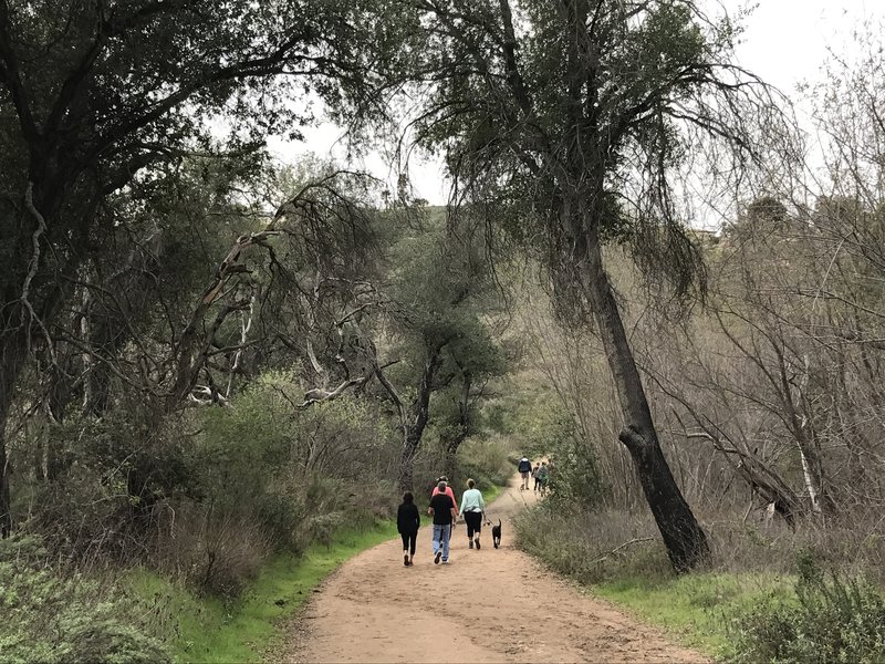 Even in January, the Green Valley Truck Trail makes for a great hike with friends.