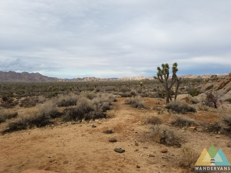 Ryan Ranch, in Joshua Tree National Park, makes for a great little excursion that's certainly not short on views.