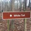 A sign makes it abundantly clear where the White Tail Trail heads.