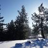 Rimrock Drive/Trail in Palisades Park becomes a snowy wonderland come winter.