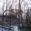 A light dusting of snow covers the Sheltowee Trace.
