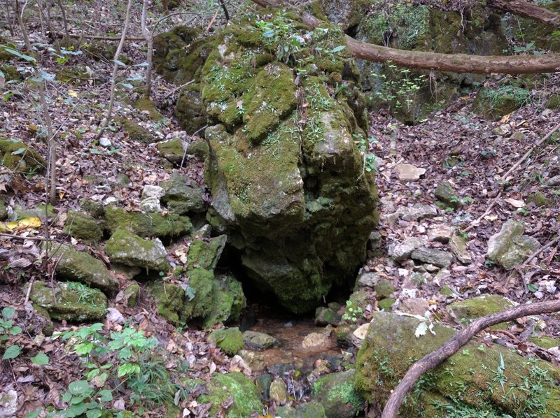 Fiddler Spring gurgles near the Whites Creek Trail within the Irish Wilderness in Mark Twain National Forest.