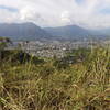A great view of Kaneohe awaits on the trail.