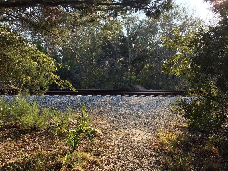 Interestingly, the Palm Hammock Trail treads right across the recently retired NASA Railroad (NLAX).