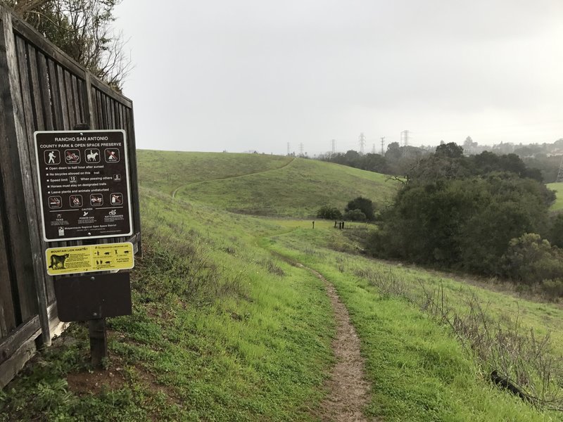 After passing through the neighborhood, the trail re-enters the Rancho San Antonio Preserve and rolls with the hills.