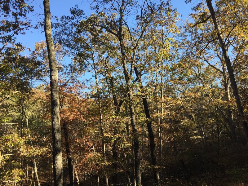 Wilderness Trail Hiking Trail Sullivan Missouri
