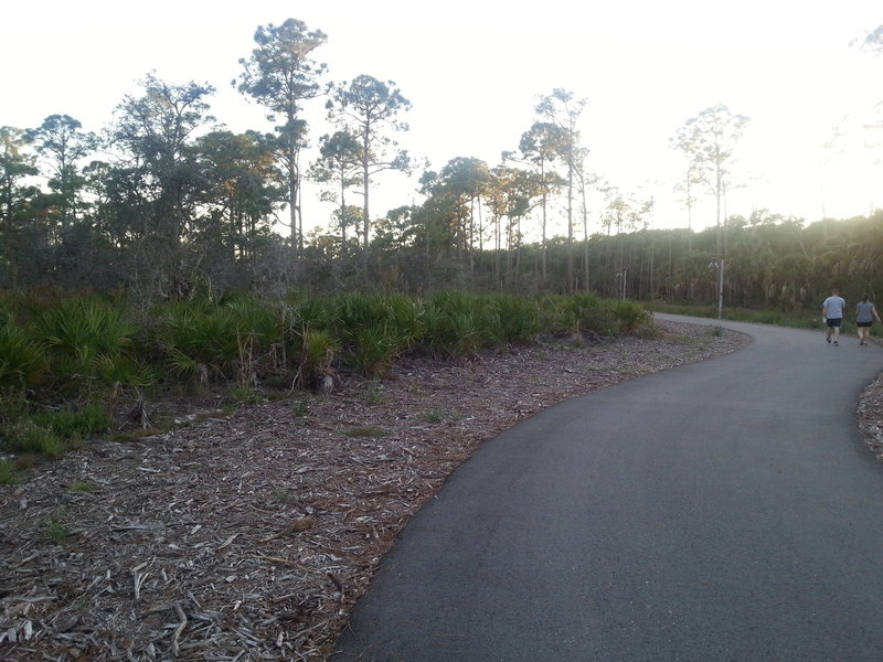 The Yellow Trail is beautifully paved in this area.