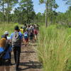 School children have a field day looking for and learning about gopher tortoises!