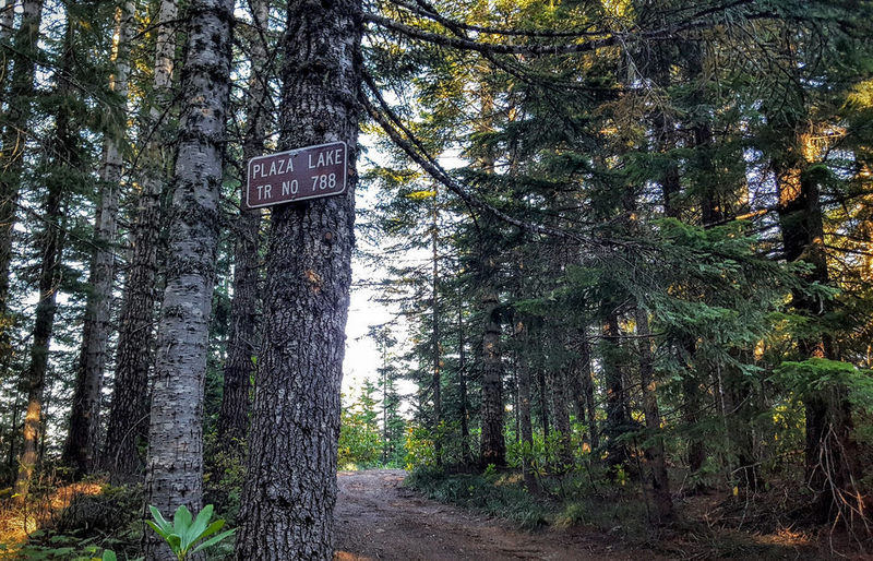The Plaza Lake Trailhead off Abbot Road (Forest Road 4610) is easy to spot. Photo by Cameron Brown.
