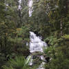 Triplet Falls hides under a dense forest canopy.