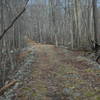 Harriman State Park offers beautiful forest roads and trails.