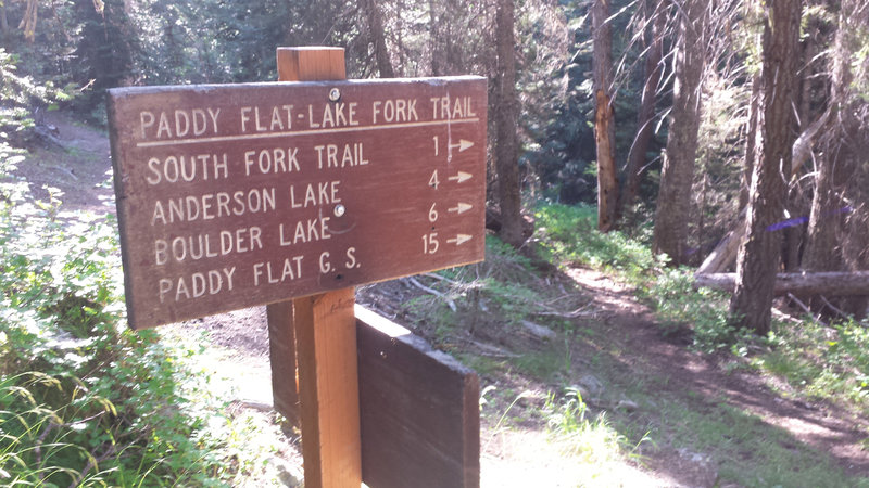 East Fork Lake Hiking Trails This Is The Junction Of The East Fork Lake Fork Trail And The Anderson Lake  Trail.