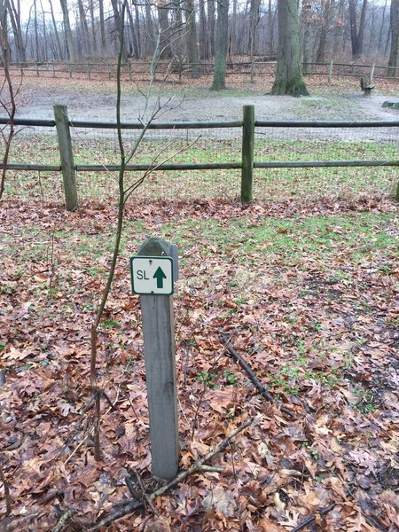 This is a confusing sign near the dog park on the Shoreline Trail. Turn left and walk clockwise around the fenced area back towards the lakeshore.