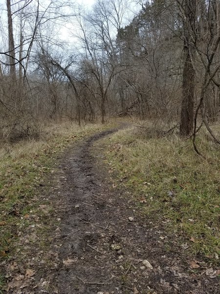While brown blazes are few-and-far between, the trails in Three Creeks Conservation Area are easy to follow.