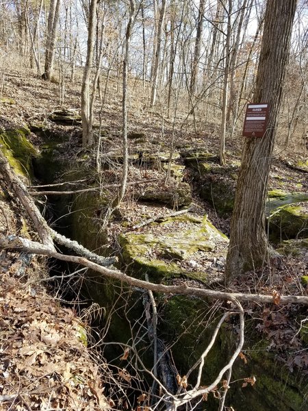Limestone channels are cut into the ground and feed a spring below. These are marked "stay out" to protect bats. Please respect the signs.