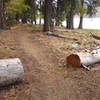 The trail is pretty well buffed out because of the mountain bike use and Ponderosa State Park trail crew.