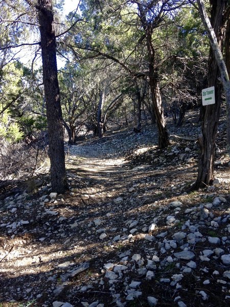 Look for this junction between Upper Wagon Trail & Zip Trail.