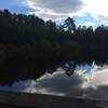 Come enjoy the peaceful pond overlook at Anderson Creek County Park, North Carolina.