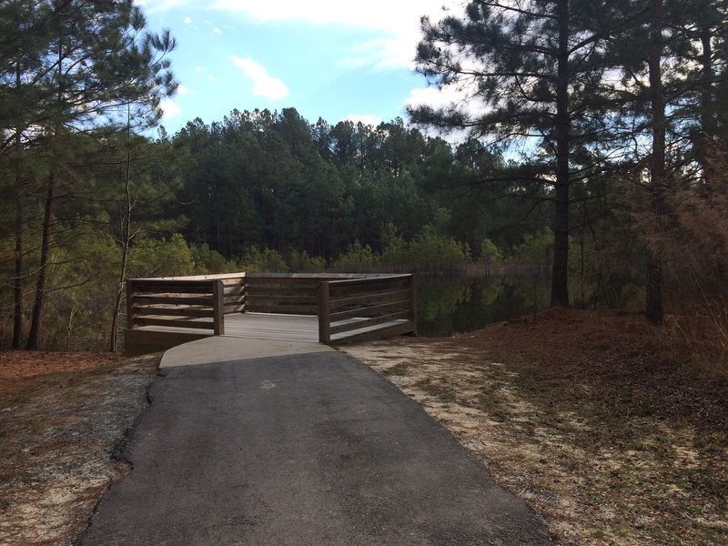 There's a paved trail to a dock overlooking the pond at Anderson Creek County Park, NC.