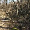 The path at Gnome's Garden on the Rozarks Trail is rocky and often covered in leaves.