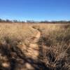 The Prairie Trail is well defined through the grassland.