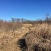 The Prairie Trail winds through the grassland like a corn maze.