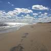 Sun, sand, and surf await you on the Cape Hatteras Loop Trail.