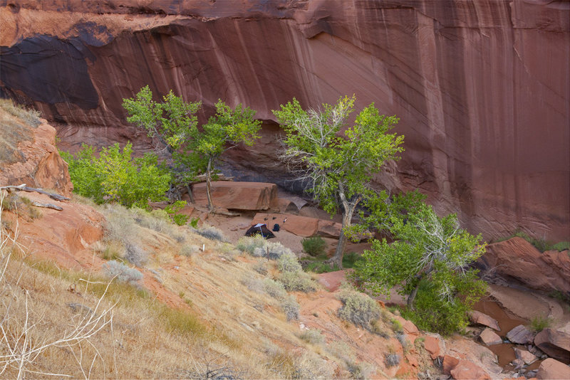 Keep your eyes peeled for nice camping spots in Coyote Gulch.