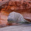 While smaller than others in the area, this arch in Coyote Gulch is worth a visit.