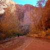 Fall is a gorgeous time to enjoy Coyote Gulch.
