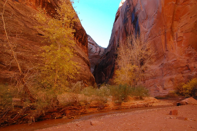 A side slot provides a fun detour within Coyote Gulch.