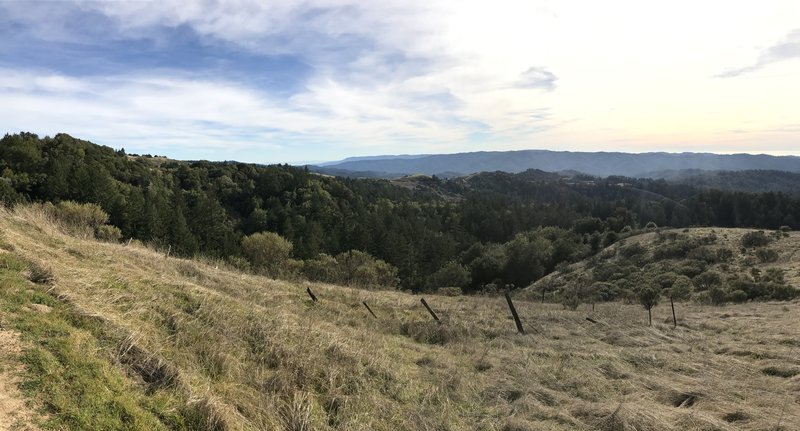 The Ancient Oaks Trail emerges from the woods with views of Russian ...