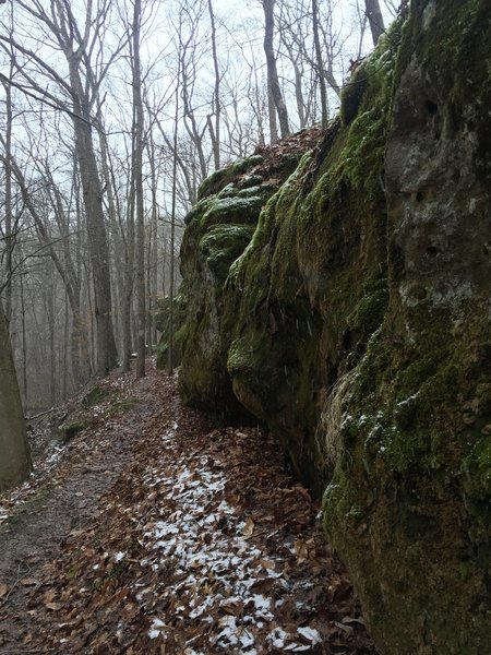 A rock outcrop stands alongside the Zaleski Backpacking Trail.