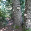 Keep an eye out for this trail sign to Devil's Meadow along the Burnt Lake Trail South.