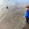 Wapato Lake makes a great place for young ones to explore the water in rain boots.