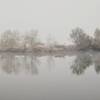 Morning fog rolls over Cooper Island at Sloan's Lake Park.