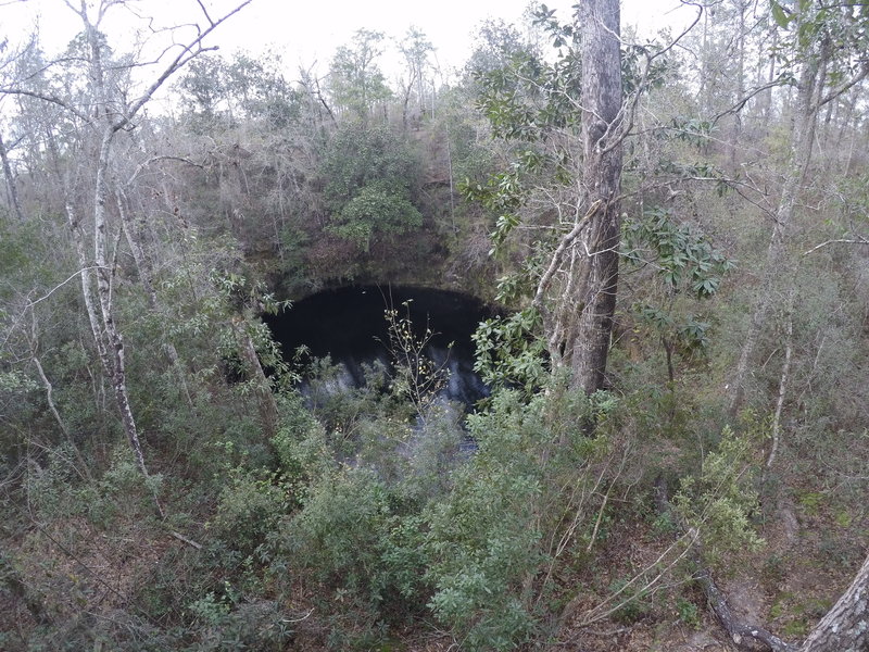Big Dismal Sink is located well below the trail.