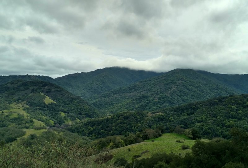 The Quicksilver Hills and Santa Cruz Mountains hide their peaks in the clouds on a stormy winter day along the Wood Road Trail.