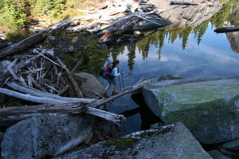 You'll have to cross this precarious log at the outlet of lower Thornton Lake.