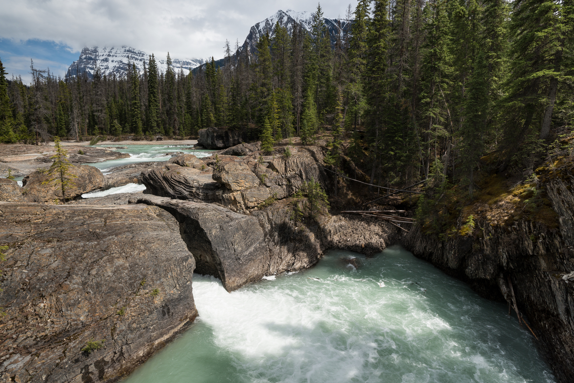 Natural Bridge provides passage over the roaring Kicking Horse River in