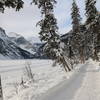 Lake Louise makes for gorgeous trailside scenery in the winter.