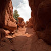 Climb through the red rocks to fully experience just how beautiful they are.