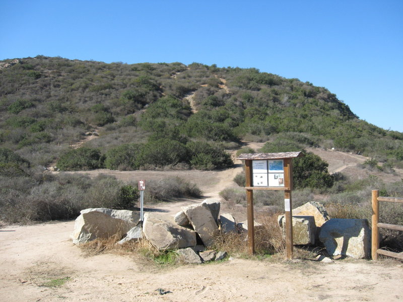 Intersection of Back Stretch and Main Trail.