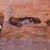Some friends pose for a photo in this "hotel" along the Rainbow Vista Trail in Valley of Fire State Park.