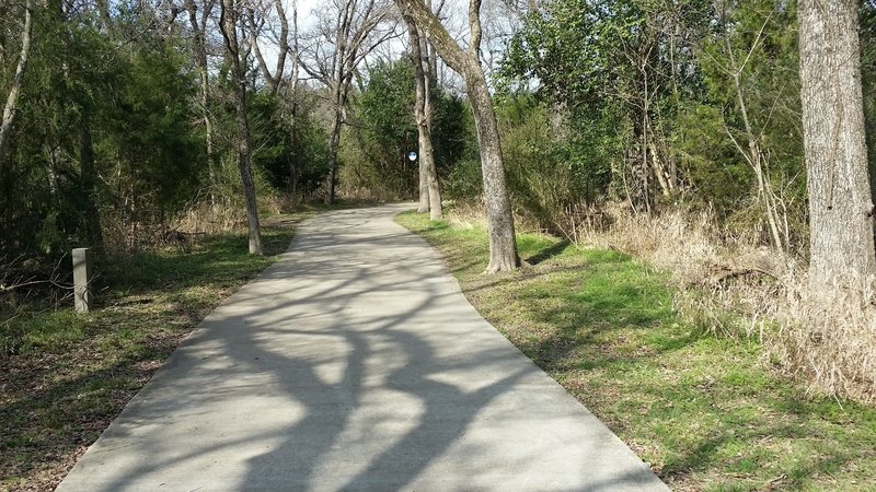 This is a typical pathway in the preserve.