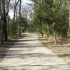 Expect this typical paved path through the forest in Spring Creek Nature Area.