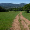This is a typical Mt. Burdell trail in typical condition. Some fire roads are better than others, but the views of the Novato are worth it.